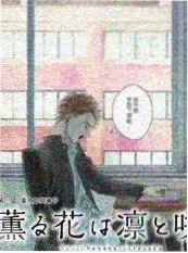 花儿与少年